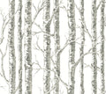 Black & White Resource Library, York Wallcoverings, York Wallpaper, SureStrip, Sure Strip, Removable Wallpaper, Temporary ...