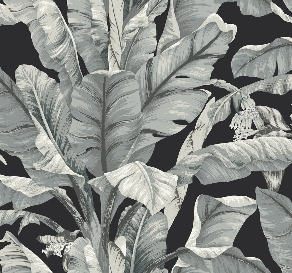 Black & White Resource Library, York Wallcoverings, York Wallpaper, SureStrip, Sure Strip, Removable Wallpaper, Temporary ...