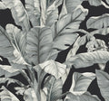 Black & White Resource Library, York Wallcoverings, York Wallpaper, SureStrip, Sure Strip, Removable Wallpaper, Temporary ...