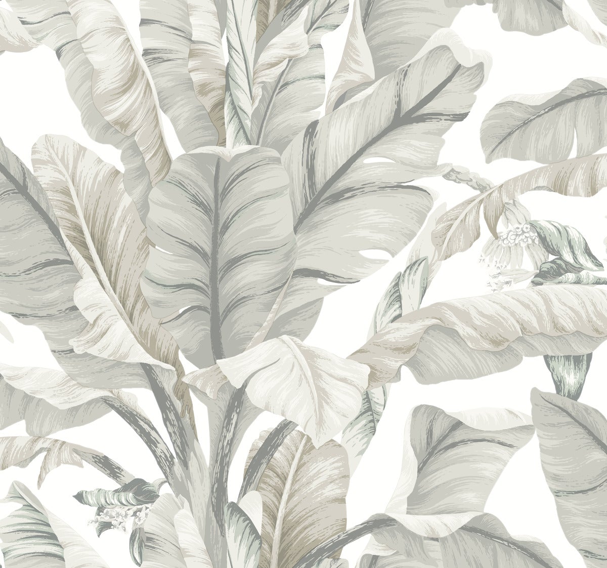 Black & White Resource Library, York Wallcoverings, York Wallpaper, SureStrip, Sure Strip, Removable Wallpaper, Temporary ...