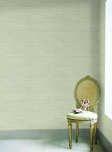 Load image into Gallery viewer, Ragtime Silk Wallpaper