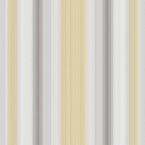 String Stripe Wallpaper