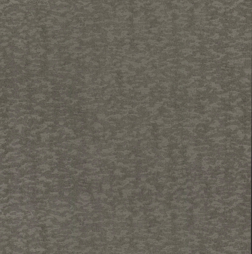 Weathered Cypress Wallpaper