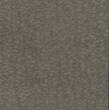 Weathered Cypress Wallpaper