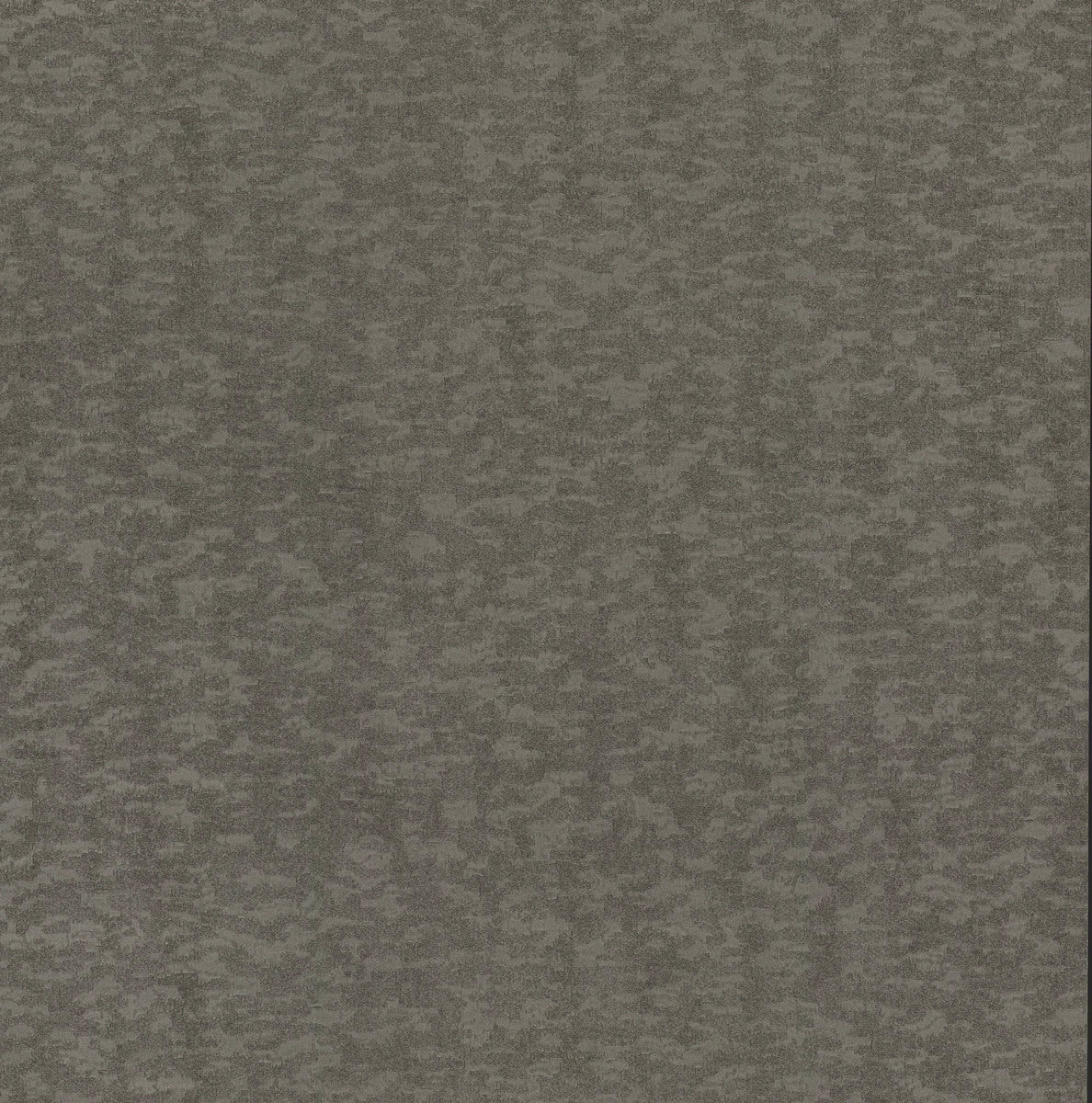 Weathered Cypress Wallpaper
