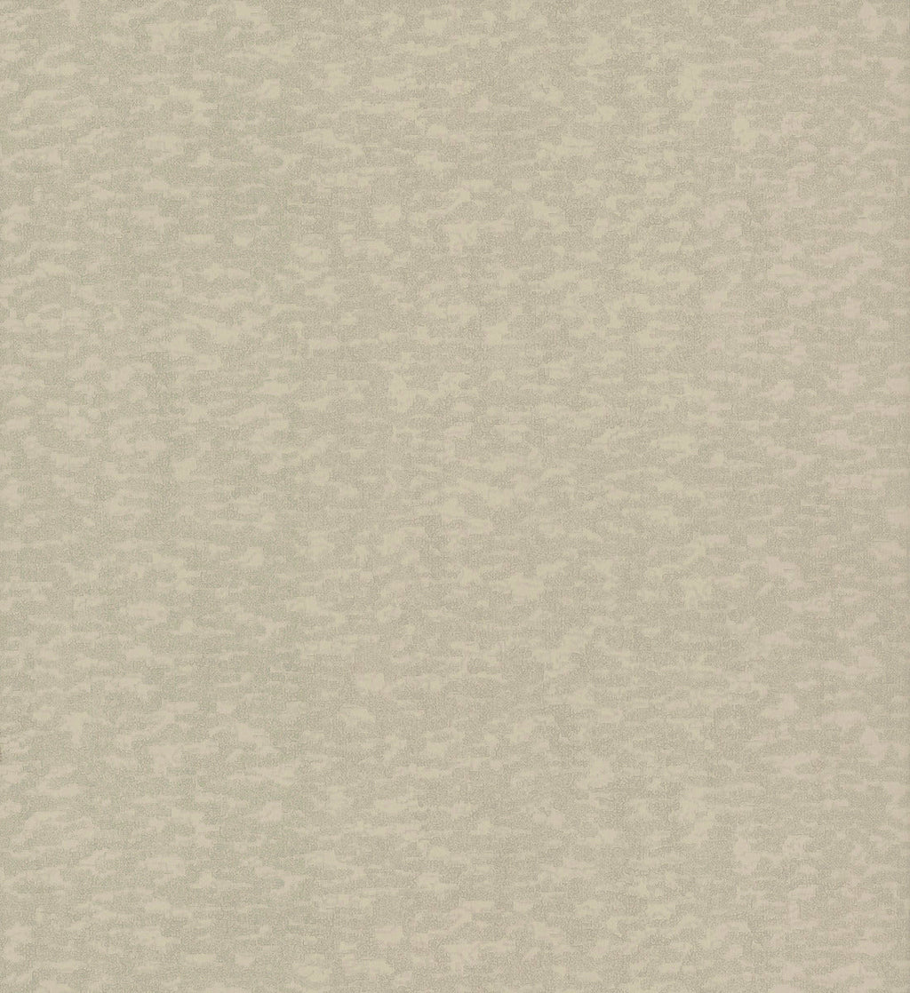 Weathered Cypress Wallpaper