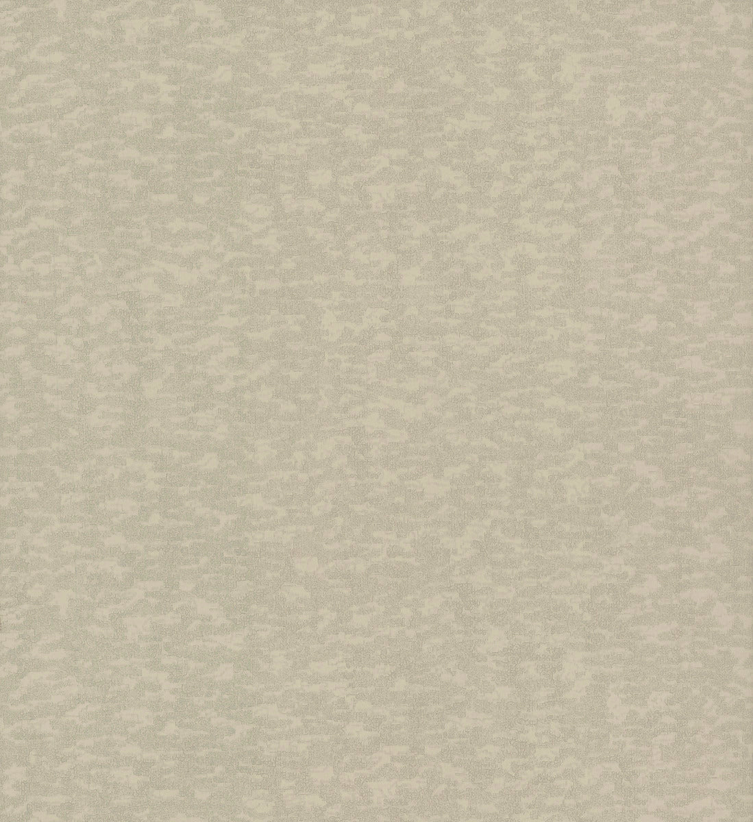 Weathered Cypress Wallpaper