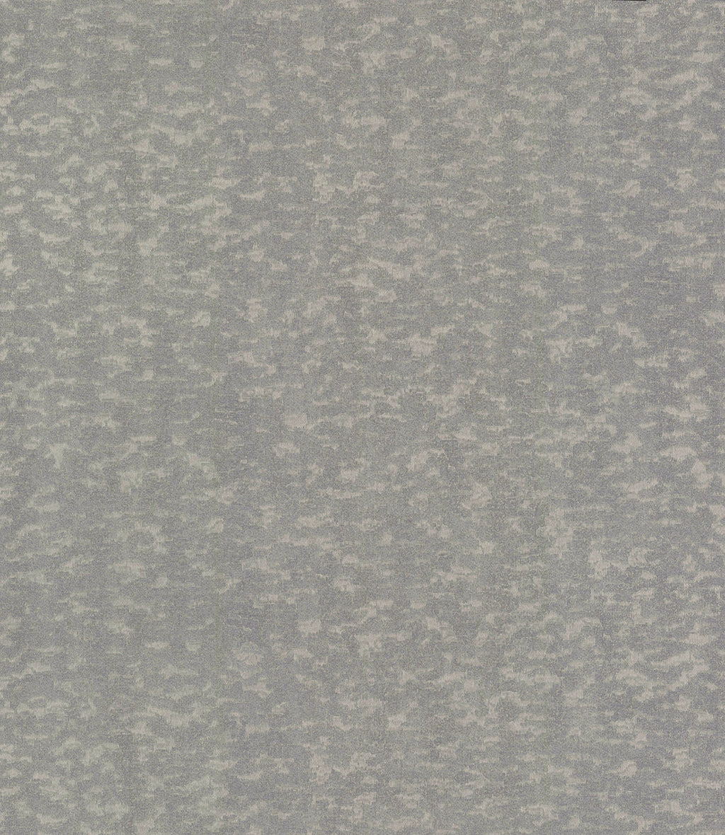 Weathered Cypress Wallpaper