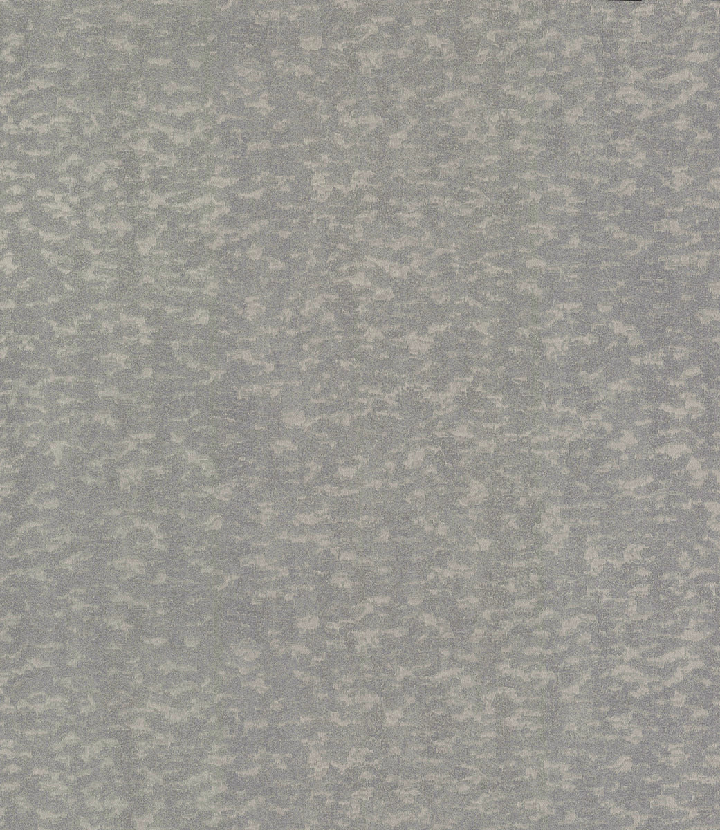Weathered Cypress Wallpaper