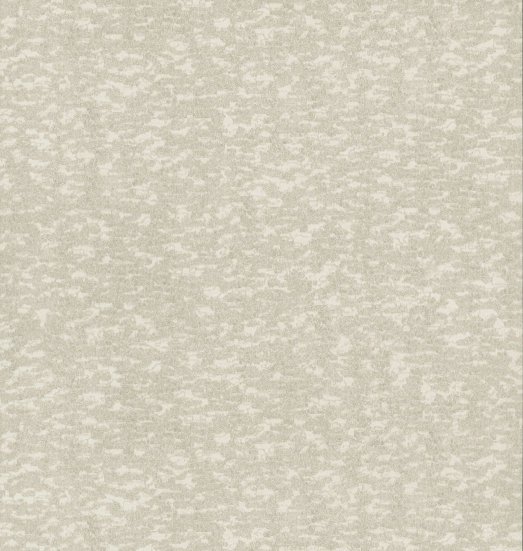 Weathered Cypress Wallpaper