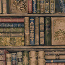 Load image into Gallery viewer, wallpaper, wallpapers, books, bookcase, vintage, old books, leather bound books, shelves