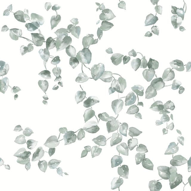 York Wallcoverings, York Wallpaper, Non Woven Wallpaper, Nonwoven Wallpaper, Removable Wallpaper, Easy Wallpaper, Wallcove...
