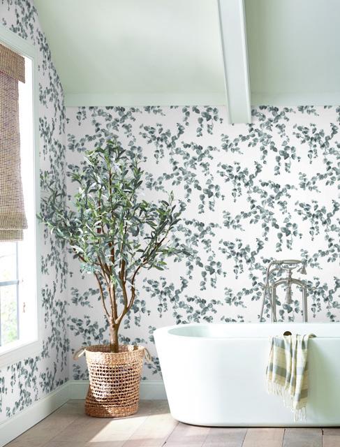 Creeping Fig Vine Wallpaper