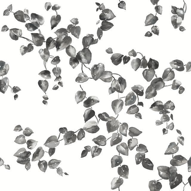Creeping Fig Vine Wallpaper