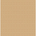 FS41605 BLUESTEM OGEE