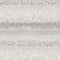 FW36804