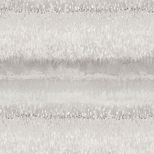 FW36804