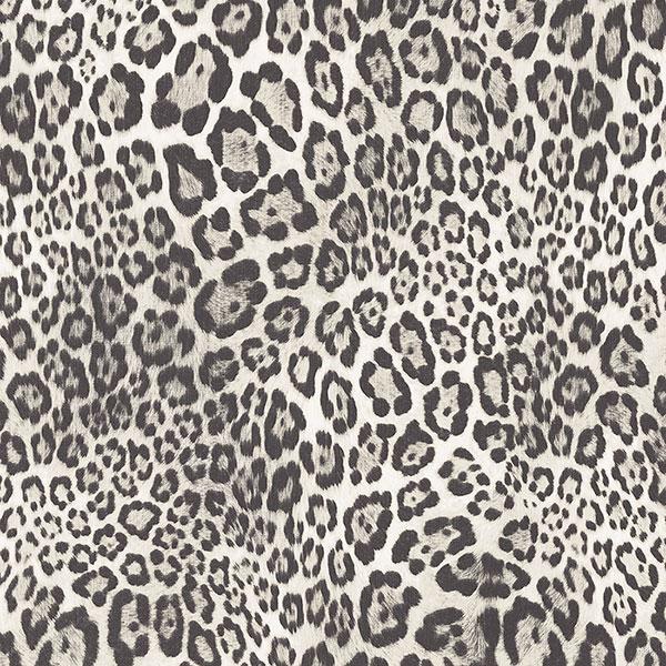 Cheetah Print Wallpaper