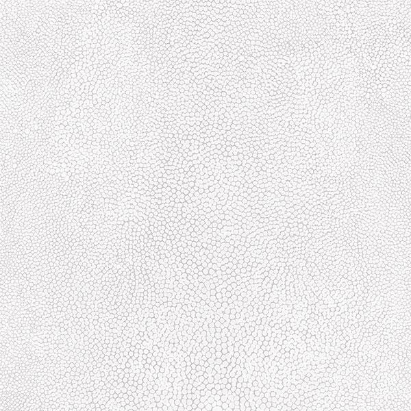 Suds Wallpaper