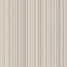 Load image into Gallery viewer, Stria Striped Wallpaper