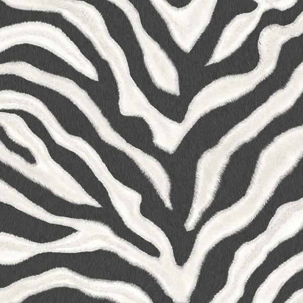 Zebra Print Wallpaper