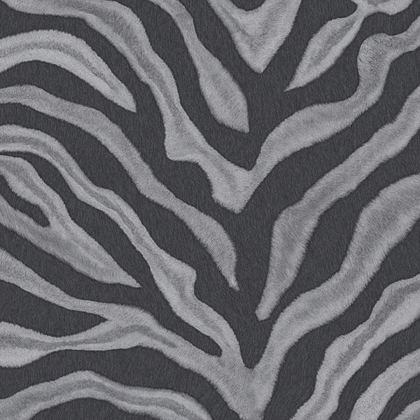 Zebra Print Wallpaper