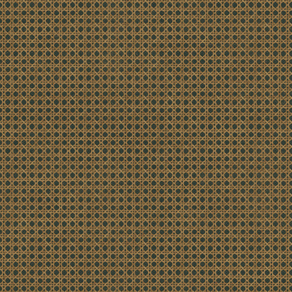 HA1249 Vintage Cane