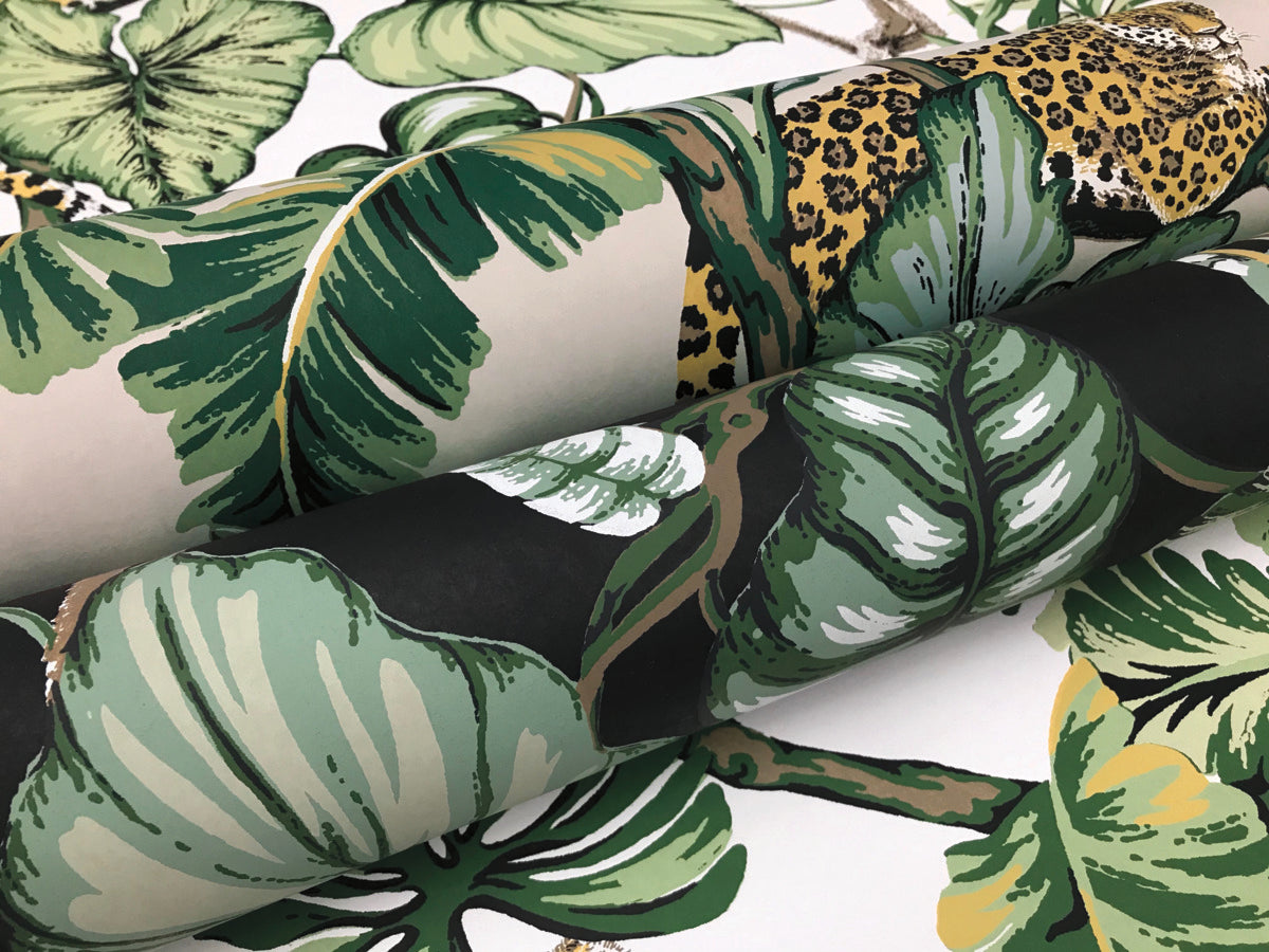 Jungle Cat Wallpaper