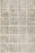 metallic, gold, silver, glint, scenic, chinoiserie, gold leaf, leopards, birds, acanthus, damask, leaf, leaves, classic, s...