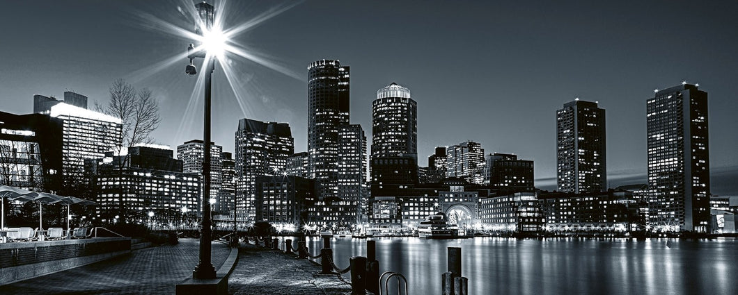 Boston Wall Mural