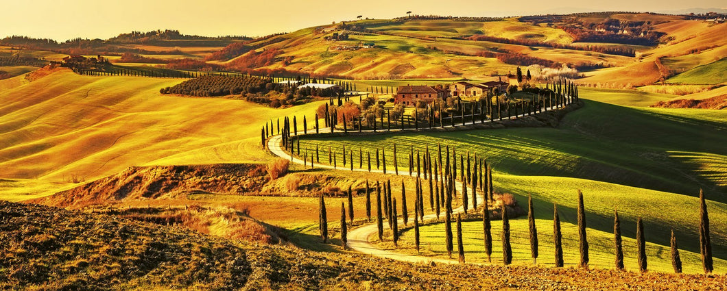 Tuscany Wall Mural