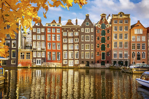 Houses in Amsterdam Wall Mural