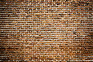 Old Brick Wall Mural