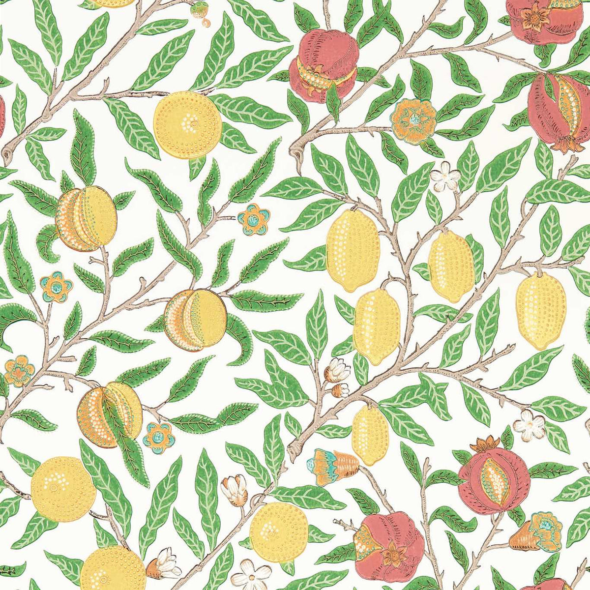 FRUIT By Morris & Co