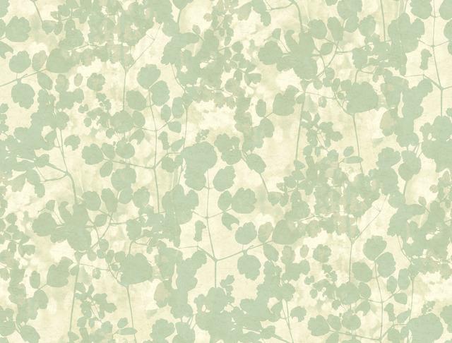 York Wallcoverings, York Wallpaper, Non Woven Wallpaper, Nonwoven Wallpaper, Removable Wallpaper, Easy Wallpaper, Wallcove...