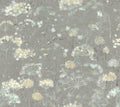 York Wallcoverings, York Wallpaper, Non Woven Wallpaper, Nonwoven Wallpaper, Removable Wallpaper, Easy Wallpaper, Wallcove...