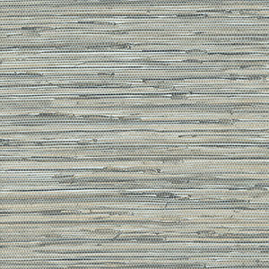 NT33703 BLUE FAUX GRASSCLOTH