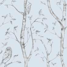 Load image into Gallery viewer, Blue Woods Peel &amp; Stick Wallpaper