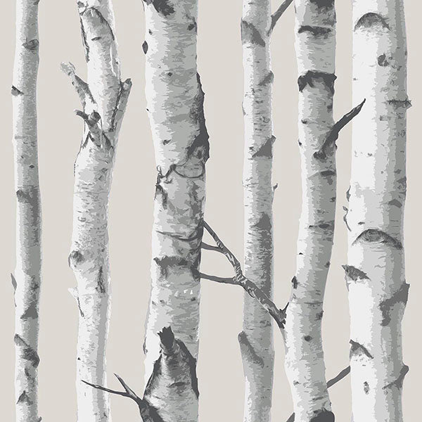 Birch Tree Peel & Stick Wallpaper