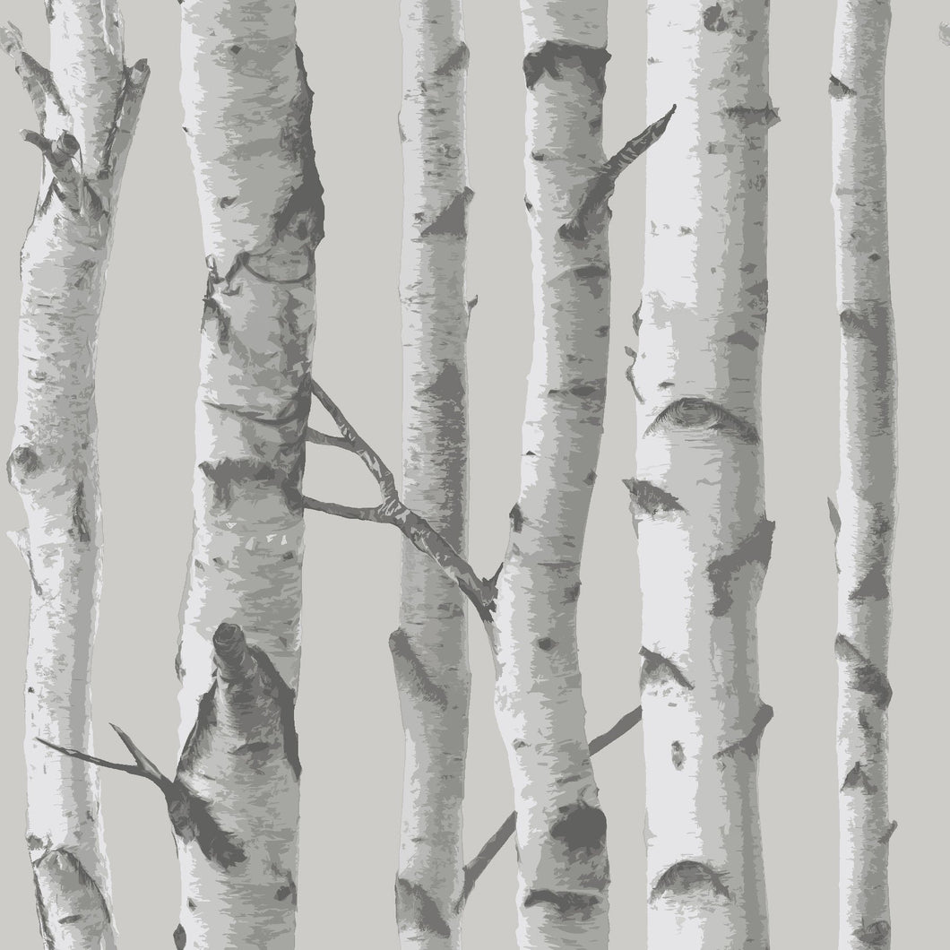 Mountain Birch Grey Peel & Stick Wallpaper