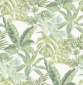 Madagascar Peel & Stick Wallpaper