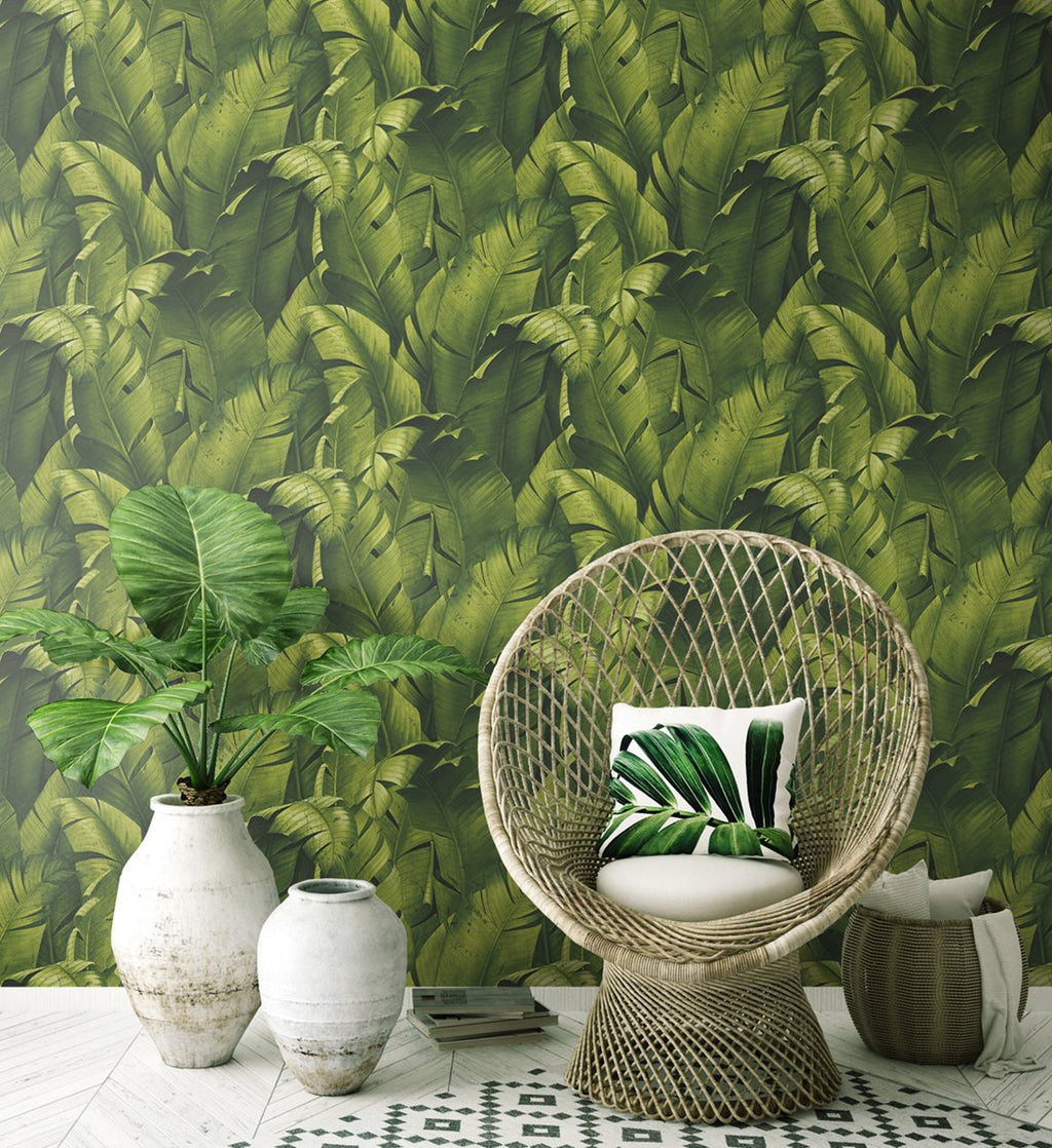 Tropical Banana Leaves - Green