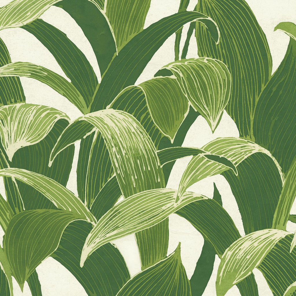 Tropical, Botanical