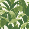 Tropical, Botanical