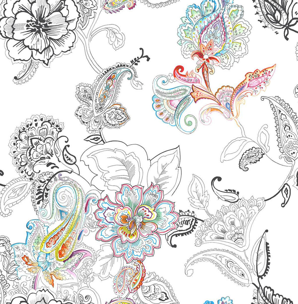 Paisley, Contemporary