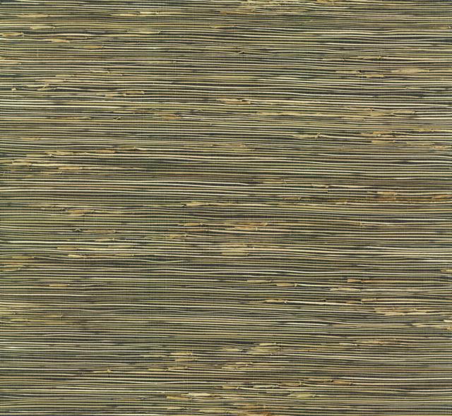 River Grass Wallpaper