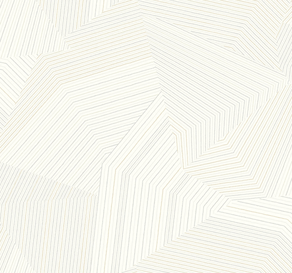 Dotted Maze Wallpaper