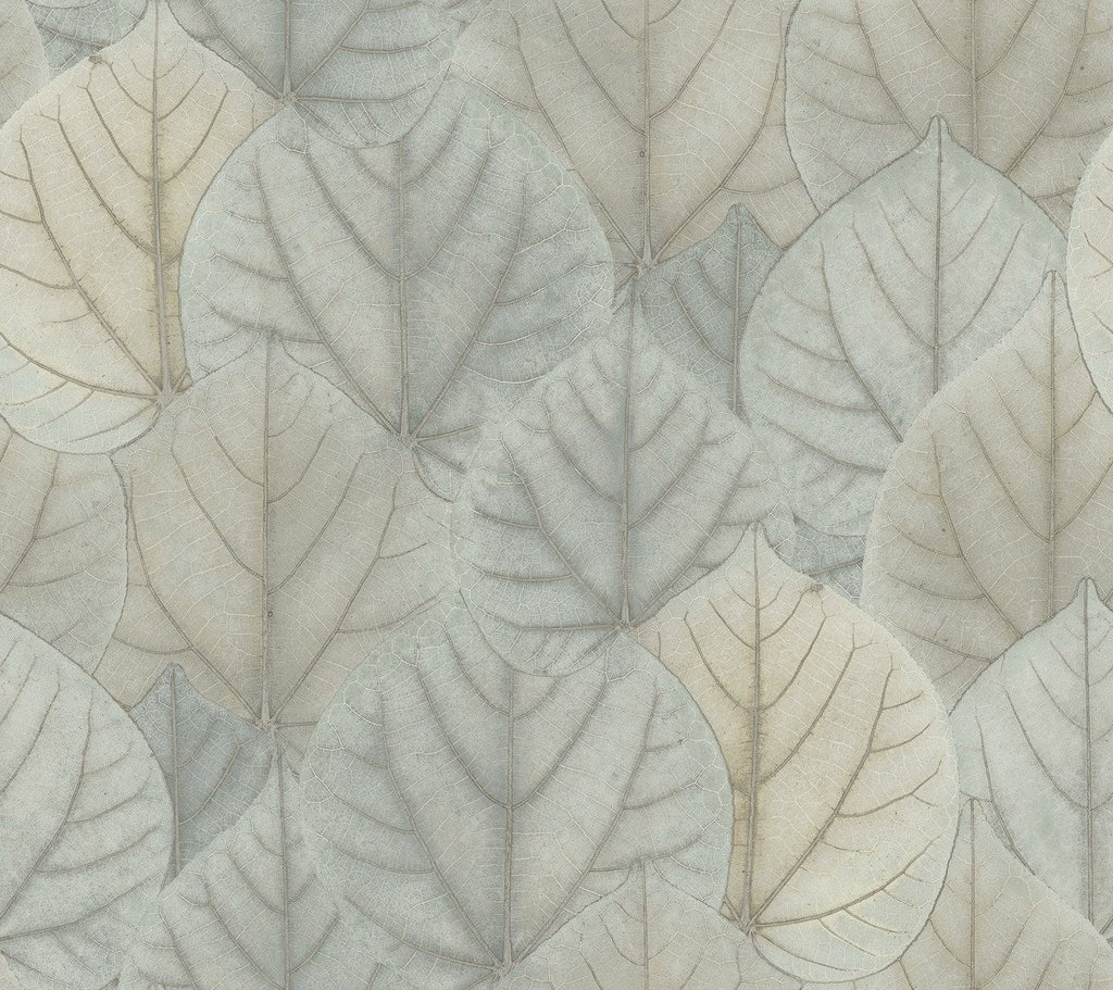 York Wallcoverings, York Wallpaper, Non Woven Wallpaper, Nonwoven Wallpaper, Removable Wallpaper, Easy Wallpaper, Wallcove...