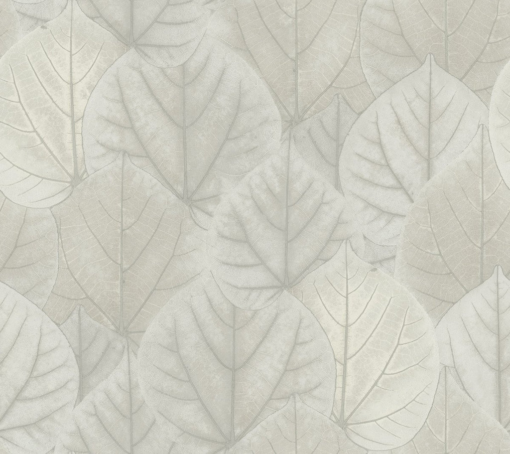 York Wallcoverings, York Wallpaper, Non Woven Wallpaper, Nonwoven Wallpaper, Removable Wallpaper, Easy Wallpaper, Wallcove...
