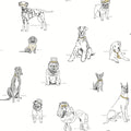  York Wallpaper, Peel and Stick Wallpaper, Peel N Stick, Stick and Peel Wallpaper, Stickable Wallpaper, Removable Wallpape...
